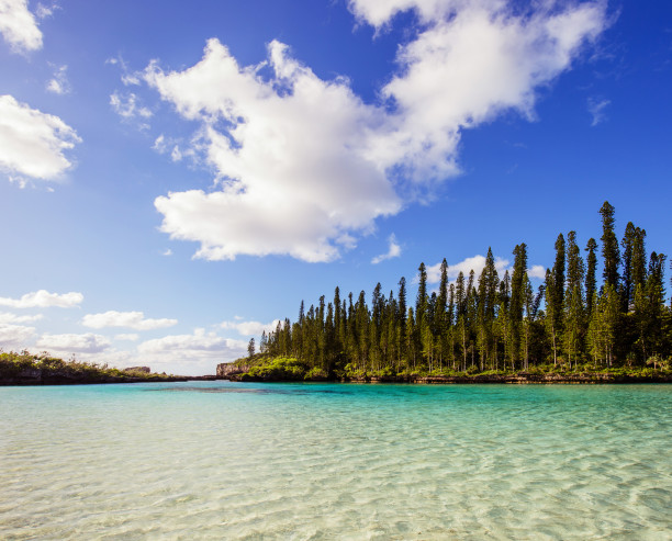 Piscine naturelle Piscine naturelle