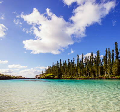 Piscine Naturelle