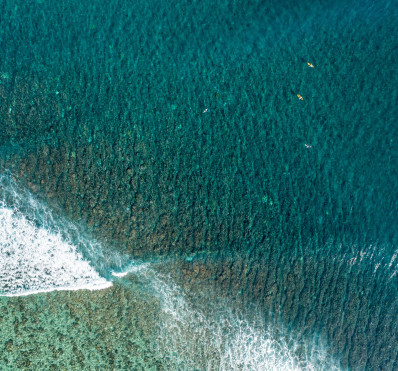 Surf